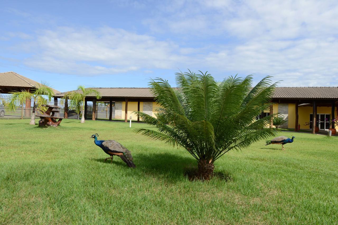 Pousada Haras Santa Rita Poconé Exterior foto